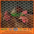 Innaer Factory 2014 Hot Sale Chicken Wire Mesh